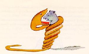 Boa constrictors wrapped around Mouse